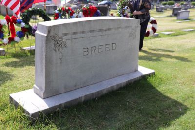 Breed-3